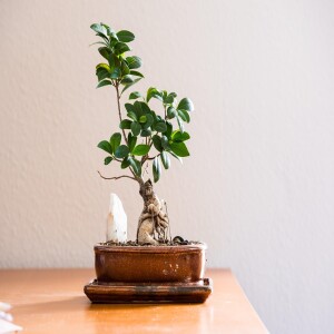 Little Things to Learn Softly – A Gentle Start to Something New