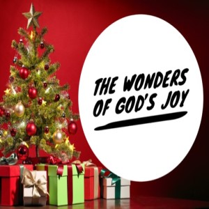 The Wonders of God's Joy