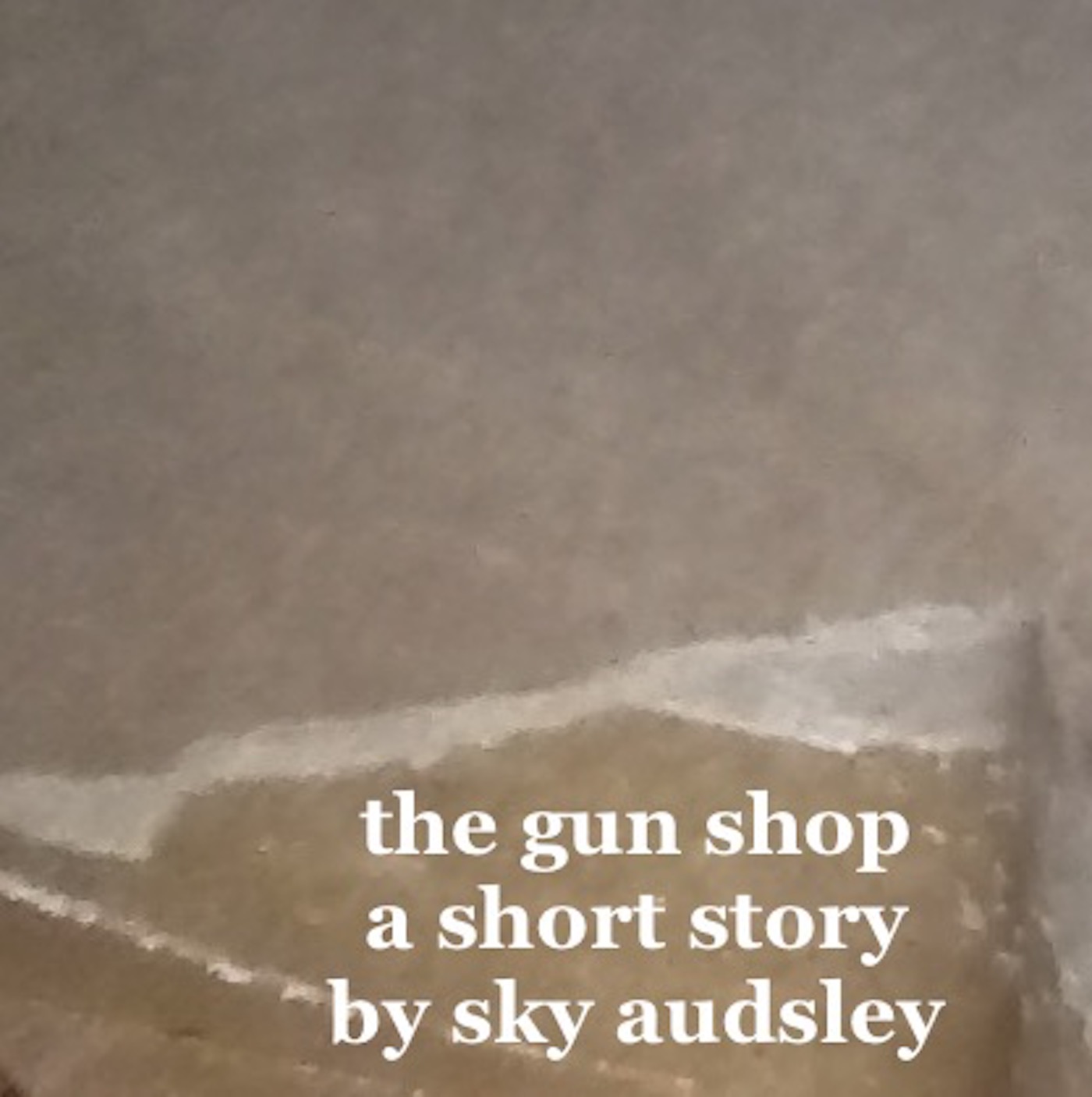 The Gun Shop (Short Story)