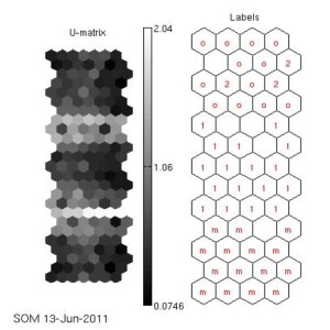 Self-organizing map based visualization techniques and their assessment. International Journal of Computing (2012)