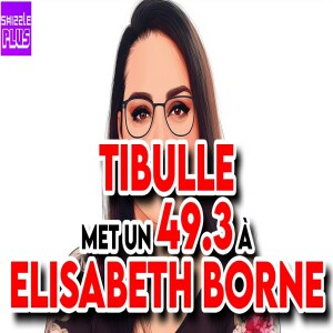 TIBULLE MET UN 49.3 À ELISABETH BORNE feat. TIBULLE