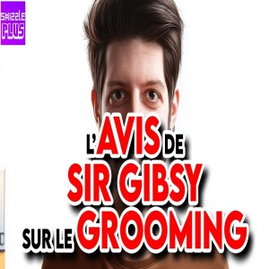L’AVIS DE SIR GIBSY SUR LE GROOMING