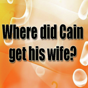 Where Did Cain Get his Wife?