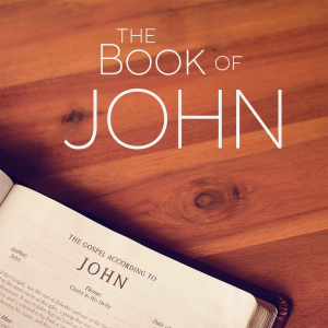 The Divinity of Jesus Christ According to the Apostle John