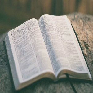 Why We Can Trust the Bible
