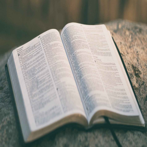 The Bible as History