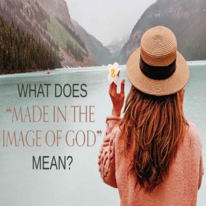 How God Made Us