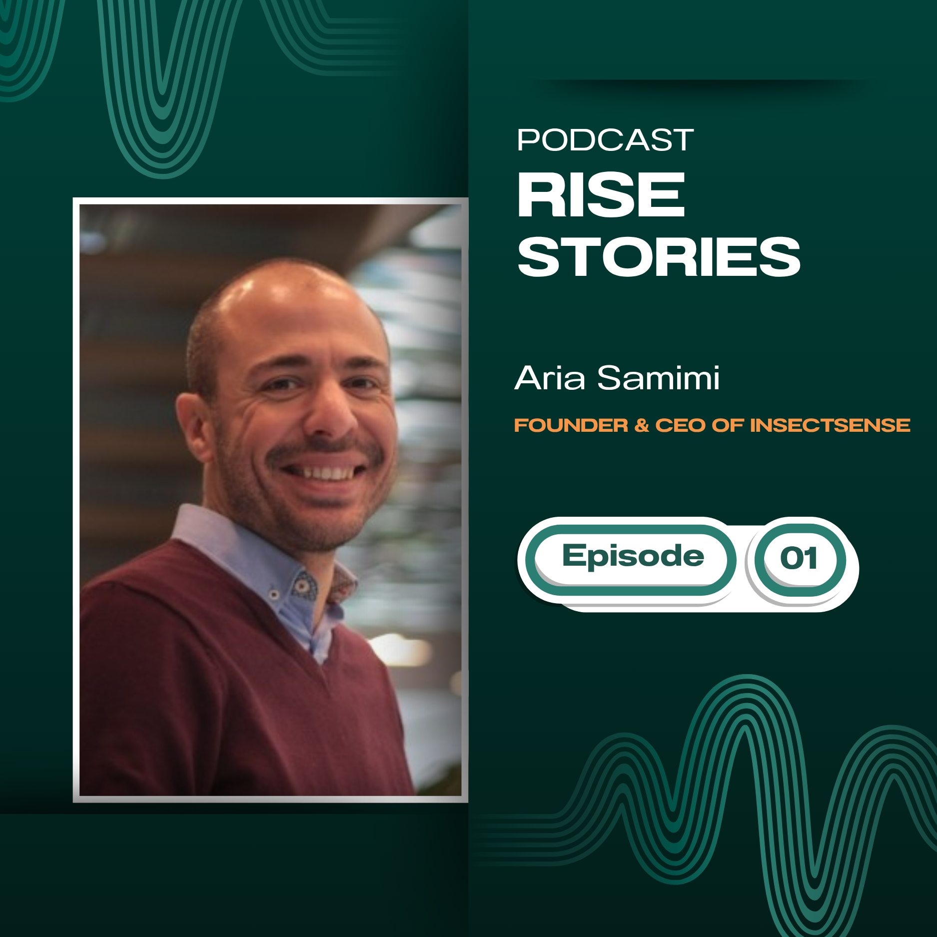 RISE STORIES