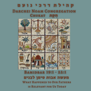 On the March: Lessons from Parashat Chukat