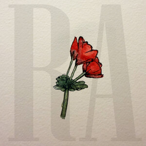 Red Flowers in the Hollow