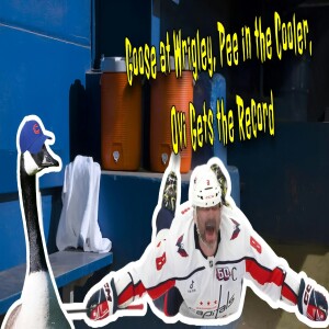 A Goose Takes Over Wrigley, HS Player Pees in Cooler?!, Budweiser Shades Ovechkin