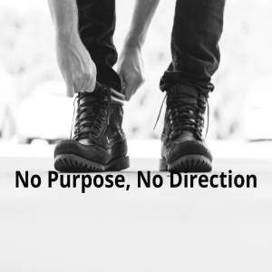 No Purpose, No Direction