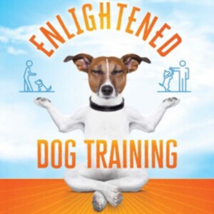 ENLIGHTENED DOG TRAINING WITH JESSE STERNBERG