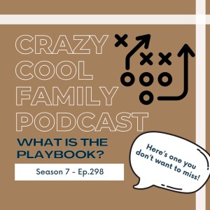 #298: What is the Playbook?