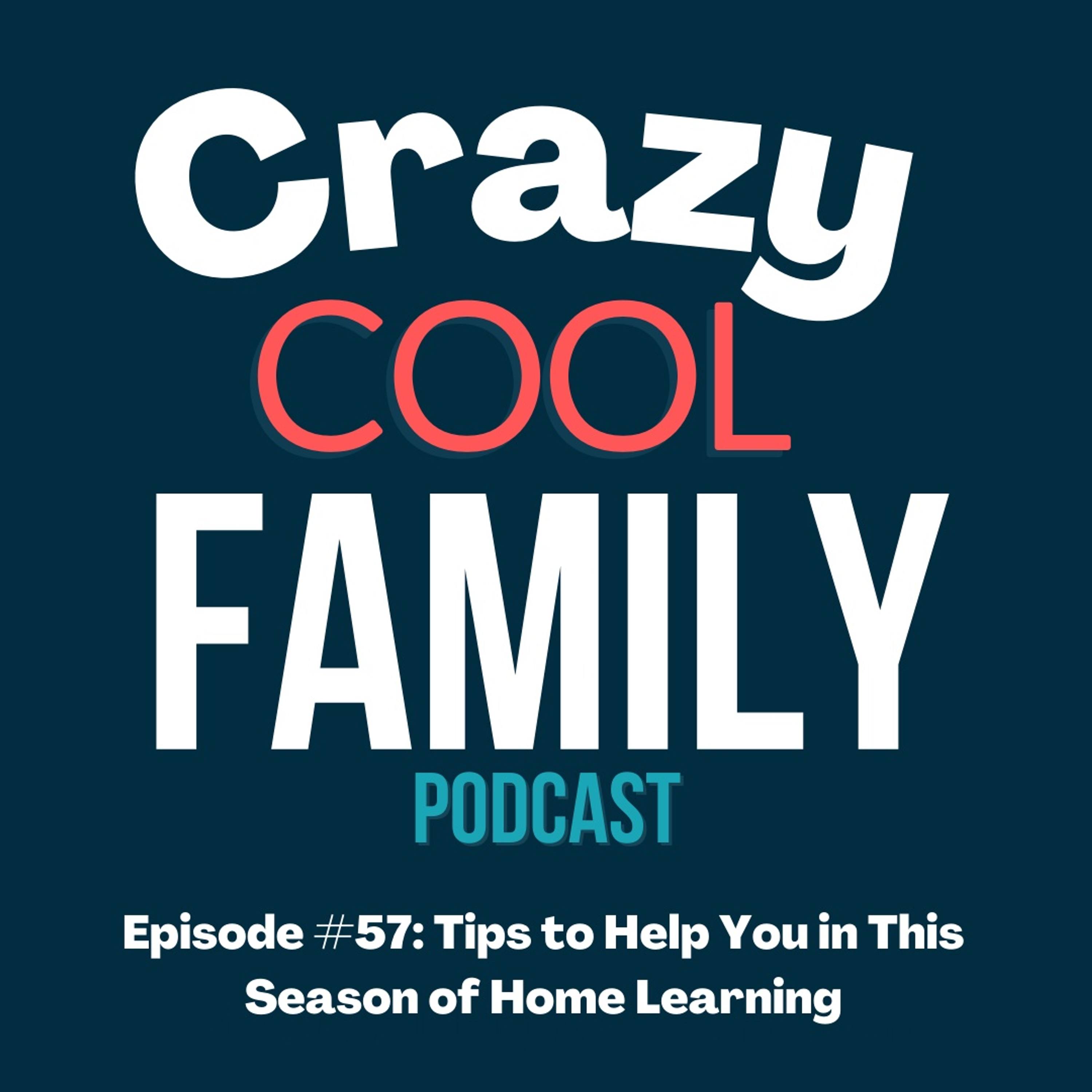 Crazy Cool Family