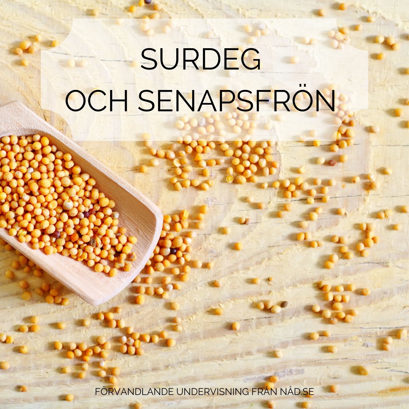 Surdeg och senapsfrön