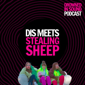 Offline Joy: The Do-It-Together Spirit Fueling Stealing Sheepâs New Era