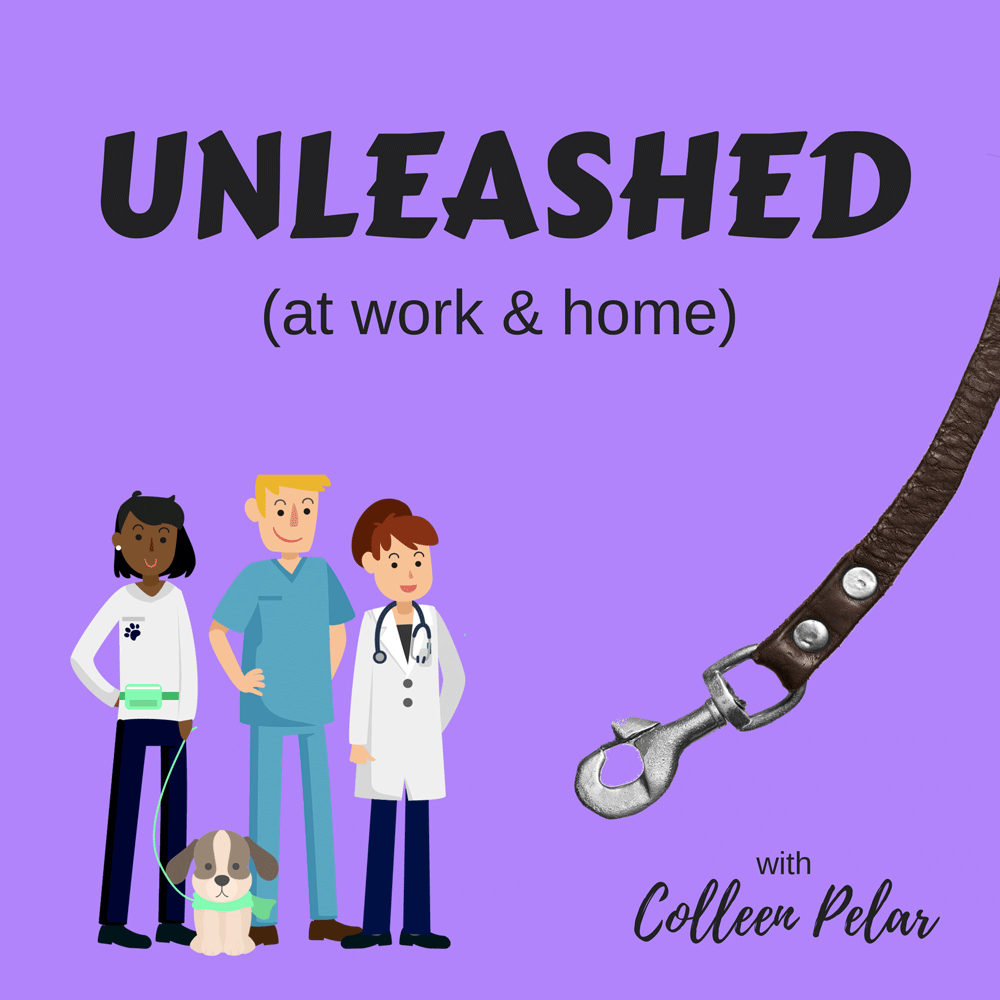 UNLEASHED (at work & home) with Colleen Pelar