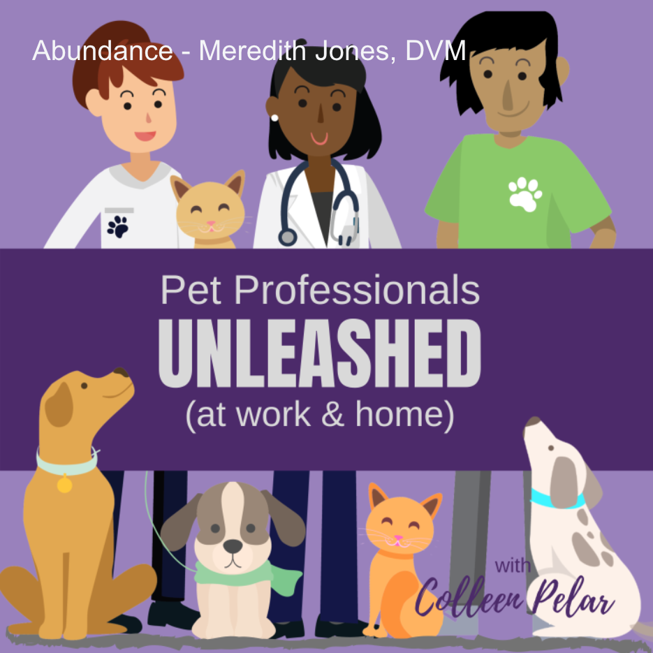 UNLEASHED (at work & home) with Colleen Pelar
