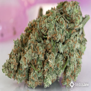 42strains OG episode #6 Captain Jack