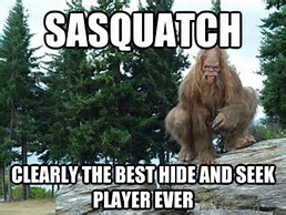 2 Sasquatches!!