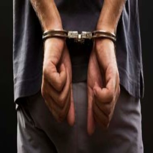 CBP, ICE Collar Sex Fiends and Murder Suspects