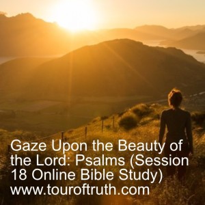 Gaze Upon the Beauty of the Lord: Psalms (Session 18 Online Bible Study) www.touroftruth.com