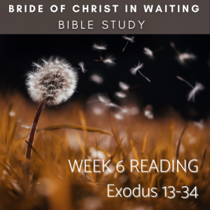 WEEK 6: Bride of Christ in Waiting (WWW.TOUROFTRUTH COM)