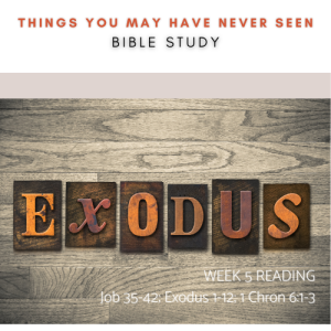 Week 5 - Exodus: More Than an Escape Story