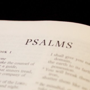 Week 28: Why is Psalms in the Bible?