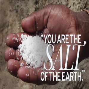 THE SALT OF THE EARTH