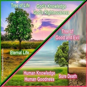 IN THE GARDEN OF EDEN