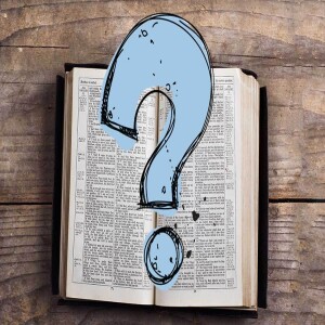 ANSWERING AGE-OLD QUESTIONS!