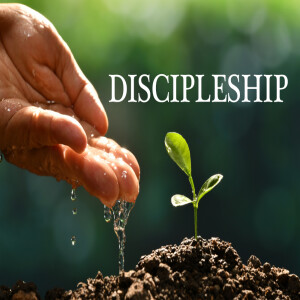 DEVELOPING DISCIPLES