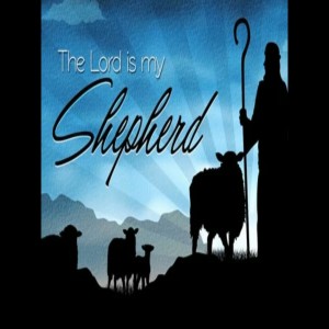 EVERY SHEEP NEEDS A SHEPHERD