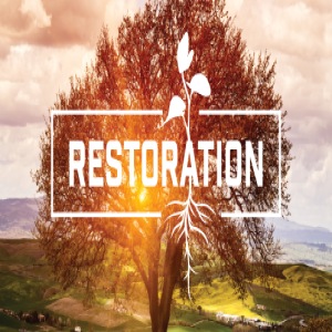 PREPARATION OF RESTORATION