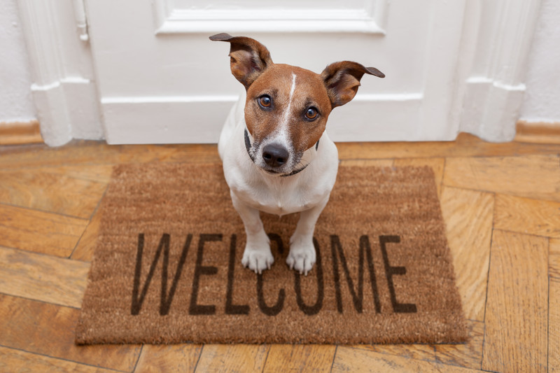 Welcome to my podcast