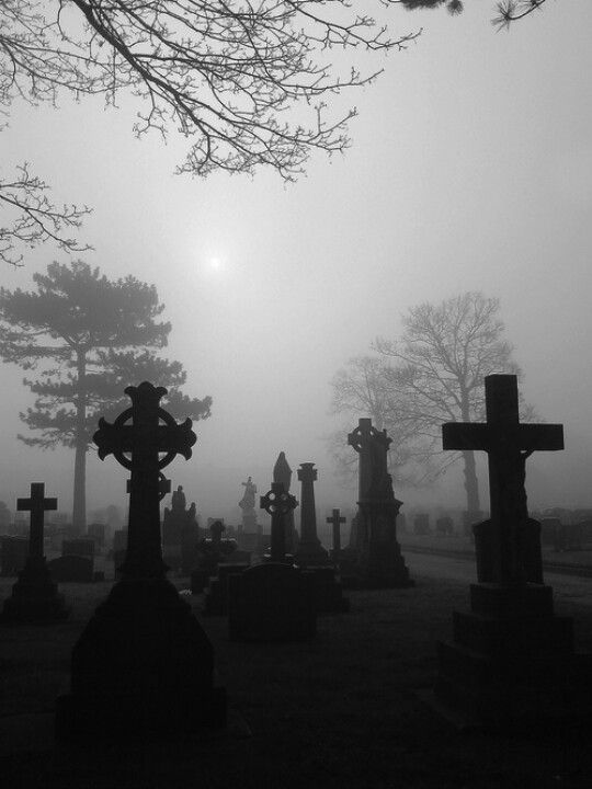 The Ghoul Gang