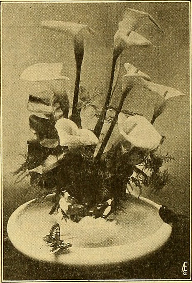 Christmas Chestnuts