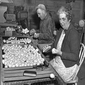 The Eggman's Affair