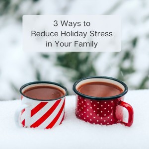 3 Ways to Reduce Holiday Stress in Your Family | John Sovec | Episode 204