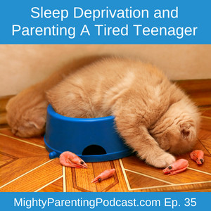 Sleep Deprivation and Parenting A Tired Teenager | Frances Robbins | Episode 35    