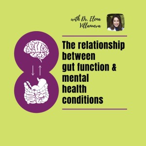 Leaky Brain: The Relationship Between Gut Function & Mental Health Conditions