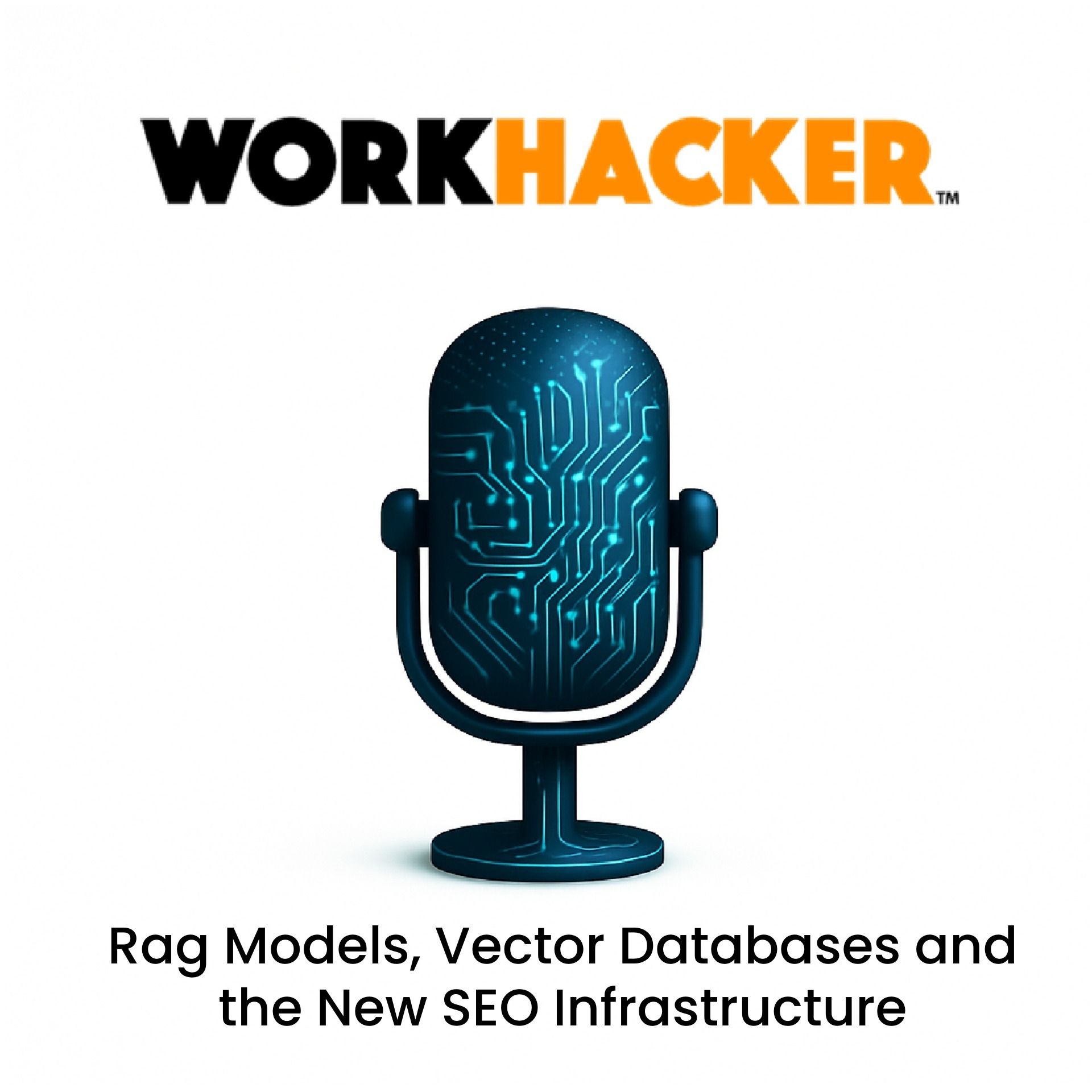 The WorkHacker Podcast - Agentic SEO, GEO, AEO, and AIO Workflow
