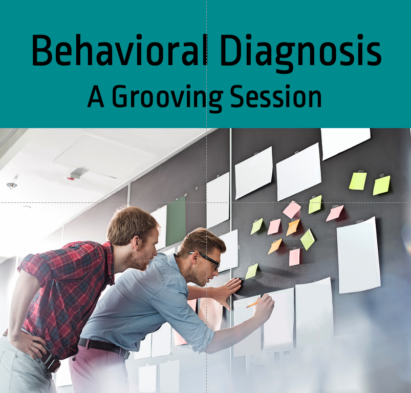 Behavioral Grooves Feature