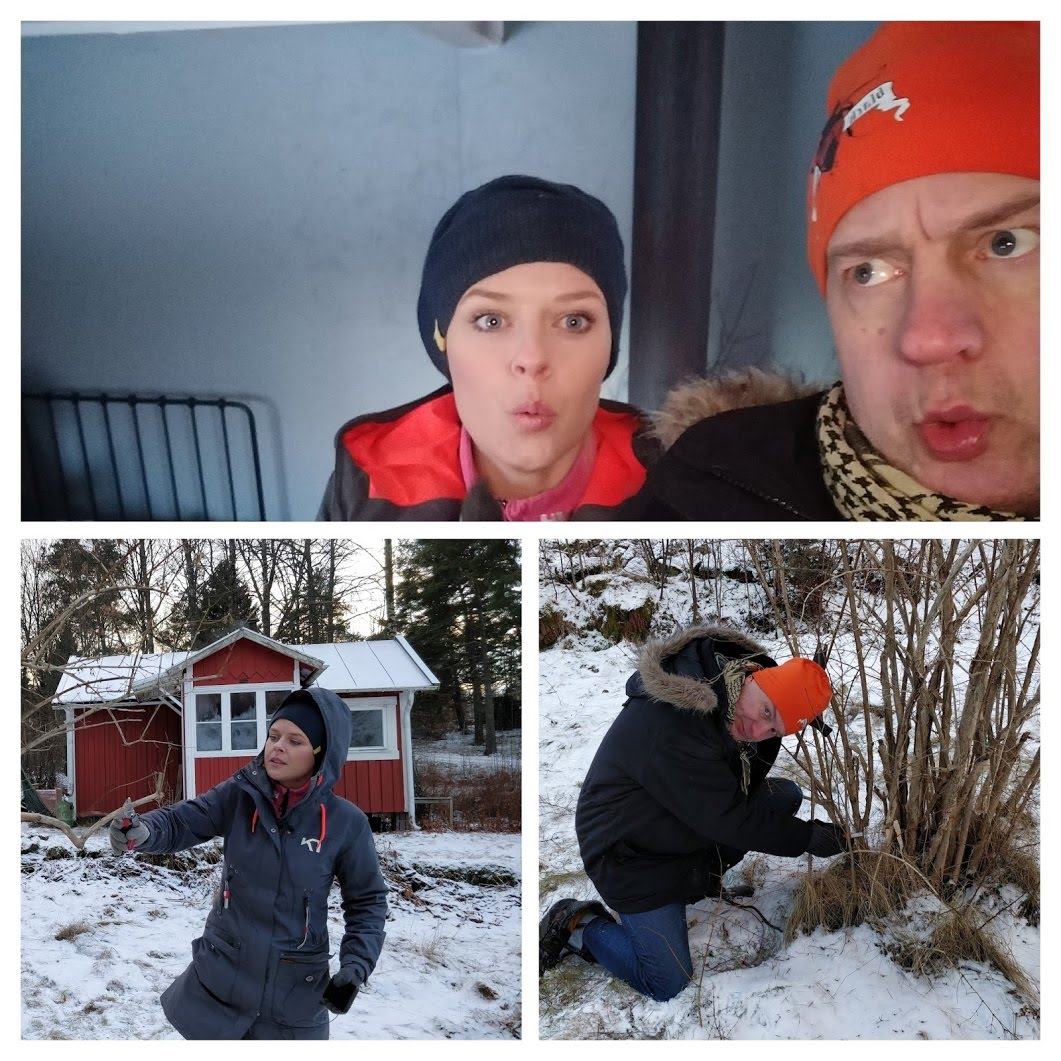 KOLONISTERNA