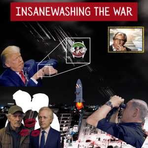 /496/ Insane-Washing the War (Which Did Not Take Place)
