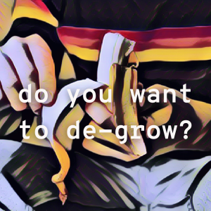 Excerpt: /310/ Do You Want to De-Grow?