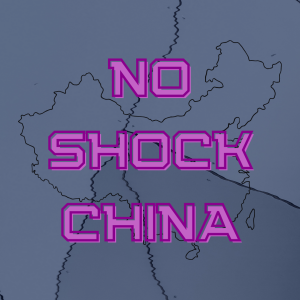 /195/ No Shock China ft. Isabella Weber