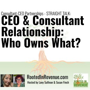 CEO & Consultant Relationships: Who Owns What?